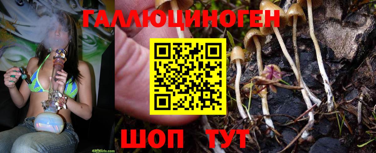 Псилоцибиновые грибы GOLDEN TEACHER Соль-Илецк